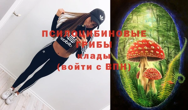 дмт Магас