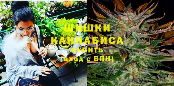 дмт Магас
