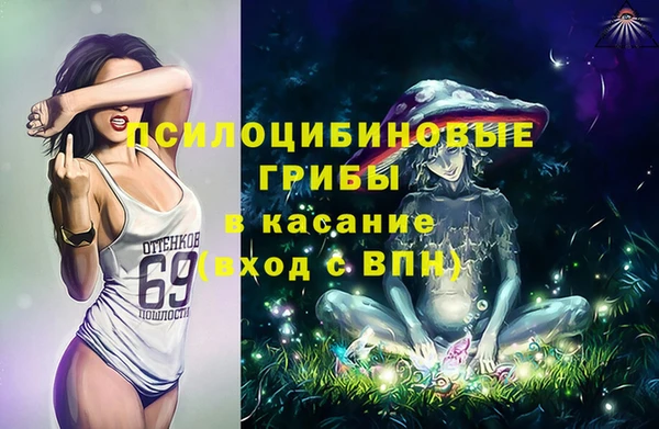 mdpv Мегион