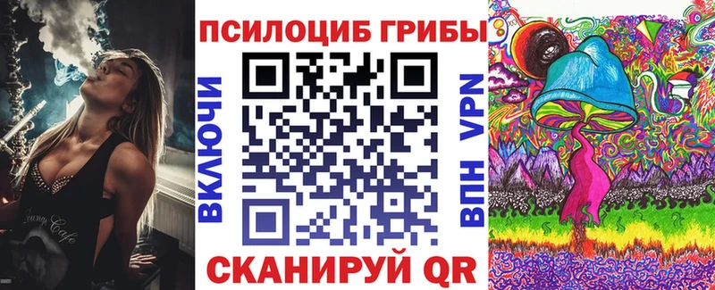 купить наркоту  Дрезна  Псилоцибиновые грибы Magic Shrooms 